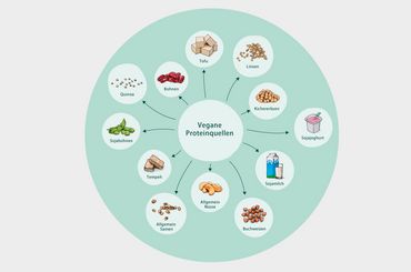 Vegane Ernährungsübersicht