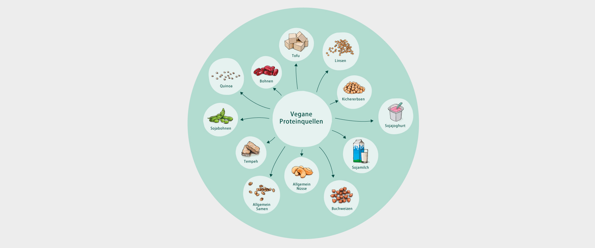 Vegane Ernährungsübersicht